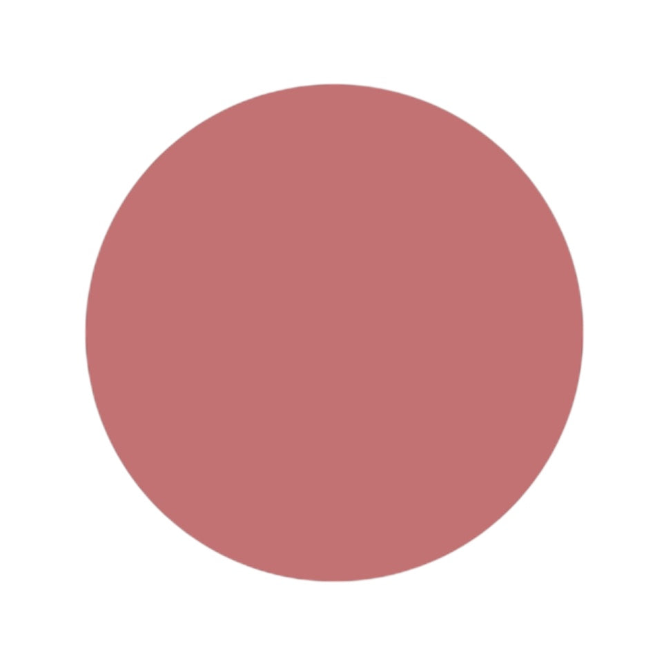 Liquid Vinyl Lipstick Gloss 2x1